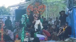 Samboyoan!! RAMPAK BARONGAN JARANAN TURONGGO SEKAR WANGI Pentas ditengah mandi lumpur!