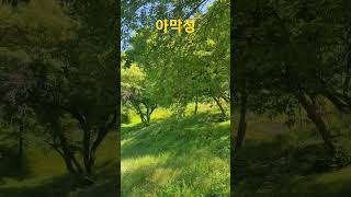 아막성을 둘러보기             #여행 #nature