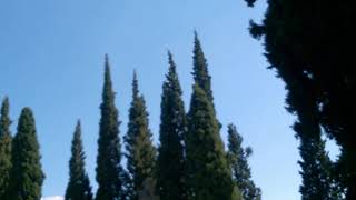 Nothing like a quiet afternoon in the cemetery - 2nd Cemetery - Athens, Greece - 2018-08-14/16:20:41