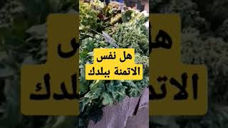 هل تعرف اسم هذه الخضر