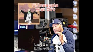 Les Prolemz - Life After 9th X Crimeapple - Wet Dirt album review