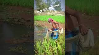 দাদুর হাতে জাদু আছে 😯 #shorts #shortvideo #viralvideo #village #grandfather #allinone #villagelife