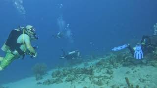 Black Sand Wreck, Curacao Jan. 2024