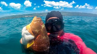 Spearfishing Red GROUPER|Kerapu Merah | indonesia sea