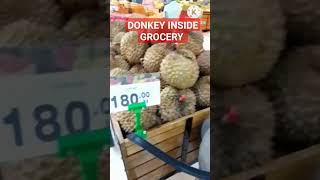 DONKEY INSIDE GROCERY #SHORTS #donkey #grocery