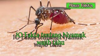 10 Fakta unik tentang Nyamuk, simak video sampai habis