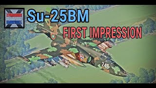 Su-25BM first impression | WarThunder | sim perspective