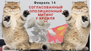 ! Митинг 14 февраля 🎤🎼🔷⚛️