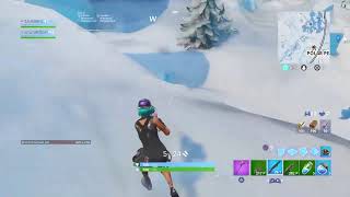 Playing fortnite with my friend itshisbday