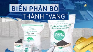 Cận cảnh quy trình sử dụng công nghệ cao biến phân bò thành “vàng”