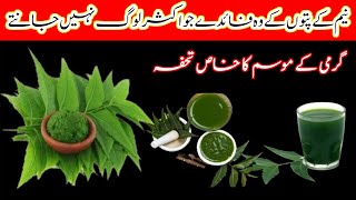 Neem leaves benefits|health benefits of neem|use of Neem|neem juice benefit|Badwal Desi vlog|