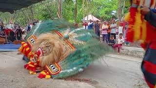 SOLAH PEMBARONG DADAK MERAK ADU GULUNG DAN KAYANG SAMPEK PATAH#dadakmerak #reog #pembarong