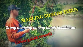 Mancing boncos terus