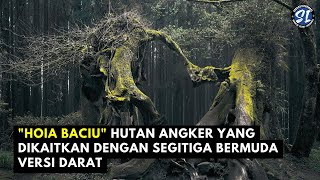 "Misteri Hoia Baciu, Hutan Angker yang dikaitkan dengan Segitiga Bermuda Versi Darat"