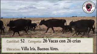 Lote 25