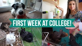 My First Week At College (animal management)