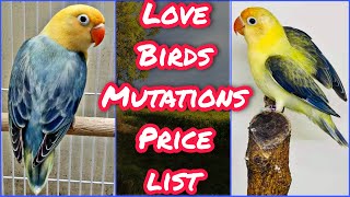 Love Birds Mutations Price List 2023 | Love Birds Business 2023 | EP 41