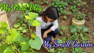 My First Vlog 2023 || My Small Garden || Planting Alovera 🌵☘️