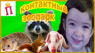 Екатеринбург. Контактный зоопарк "Мохналэнд" .  Petting zoo