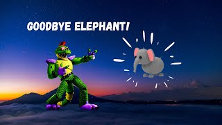 Giving the elephant to the giveaway winner!