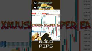 XAUUSD SCALPER EA MT4 2024 Automated Forex Robot الاكسبرت الأكثر ربحا في الفوركس