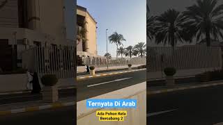 #Kelepa Ber #cabang 2 di #saudiarabia #viral #shorts