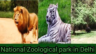 दिल्ली चिड़ियाघर ऐसा है National Zoological park ll Delhi zoo full tour ll Delhi zoo full video