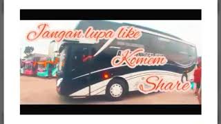 Cinematic bus citra dewi