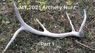 MT Archery Hunt 2021 Part 1