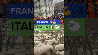 ITALIA VS FRANCIA differenza #italia #francia #manifestazione #italiani #france #liberté #libertà