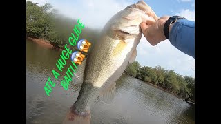 HUGE BASS EATS GLIDE BAIT!!