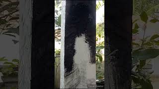 dekorasi tiang rumah part 2 || wallputty #shorts