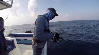 Maldives Fishing Day 1 part 2 - Groupers and Bonito- Jigging jigging jig