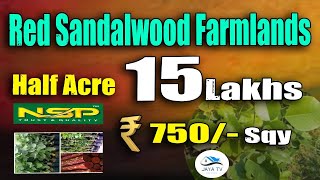 Red Sandalwood Farmlands  | Jaya TV