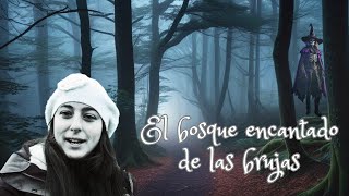 Suiza El bosque encantado de las brujas 🧙‍♀️