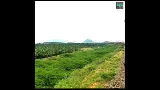 Train crossing another railway track || between Madurai and Dindigul || Kodaikanal Road Station