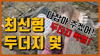 두더지 잡는 방법 - 최신형 두더지 덫(백발백중 두더지 트랩)