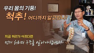 척추! 어디까지 알고있니? (하상훈 부산본병원 대표원장)