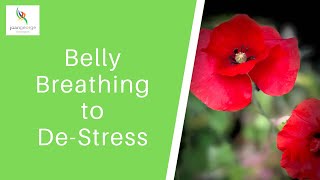 Belly Breathing to De-Stress