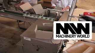 Benhil 8380 and 8538 Butter Packing Machine