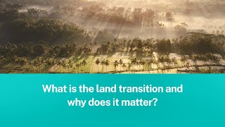 What is the land transition and why does it matter in the fight to tackle climate change?