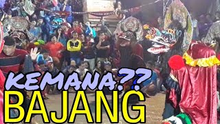 BAJANG GELENG GAK HADIR|| ROGO SAMBOYO PUTRO GOA SELOMANGKLING