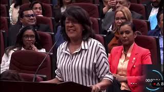 María inmaculada Núñez en la vistas públicas en el Congreso Nacional