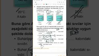 9.sınıf güncel meb kazanım kavrama testi Etkinlik 6 2024 DETAYLI ANLATIM