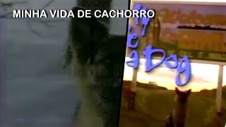 1996 Série Minha Vida de Cachorro