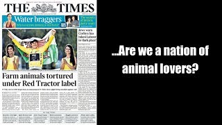 ...Are we a nation of animal lovers?