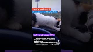 Bahagianya mudik lebaran