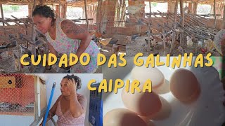 MOSTREI MANHÃ DA MÃE CUIDADO DAS GALINHAS CAIPIRA