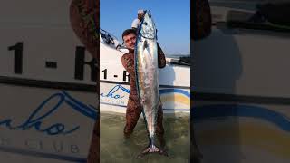 Spearfishing Mozambican WAHOO #SHORTS