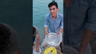 fishing in bushehr